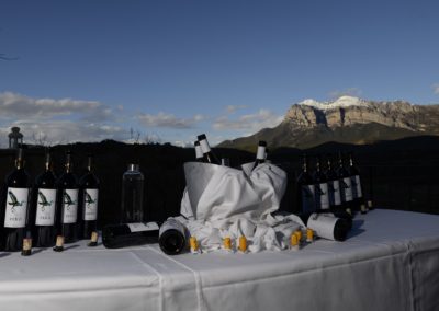La Corona de Ainsa - Vino vinos wine Ainsa somontano huesca vignerons de huesca