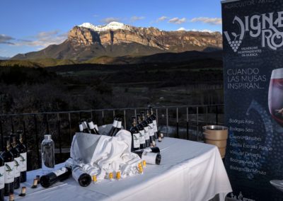 La Corona de Ainsa - Vino vinos wine Ainsa somontano huesca vignerons de huesca