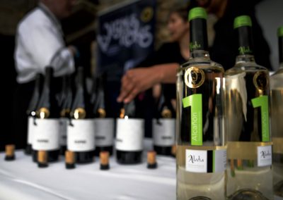 La Corona de Ainsa - Vino vinos wine Ainsa somontano huesca vignerons de huesca