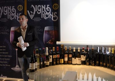 La Corona de Ainsa - Vino vinos wine Ainsa somontano huesca vignerons de huesca