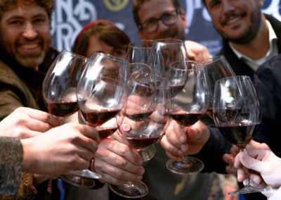 La Corona de Ainsa - Vino vinos wine Ainsa somontano huesca vignerons de huesca