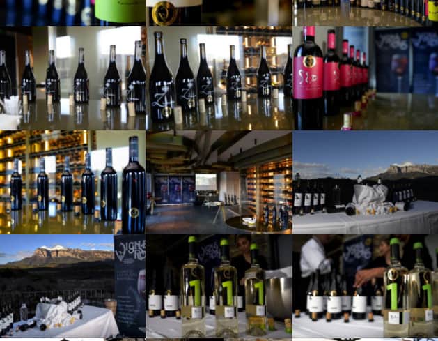 La Corona de Ainsa - Vino vinos wine Ainsa somontano huesca vignerons de huesca