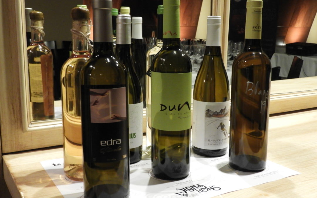La Corona de Ainsa - Vino vinos wine Ainsa somontano huesca vignerons de huesca