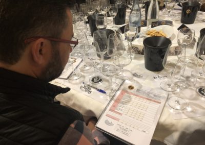 La Corona de Ainsa - Vino vinos wine Ainsa somontano huesca vignerons de huesca