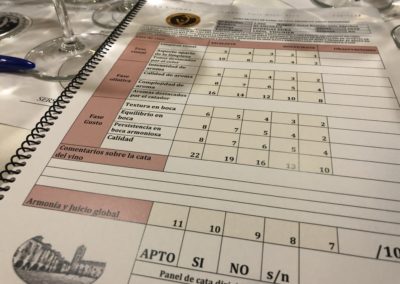 La Corona de Ainsa - Vino vinos wine Ainsa somontano huesca vignerons de huesca