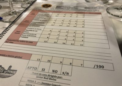 La Corona de Ainsa - Vino vinos wine Ainsa somontano huesca vignerons de huesca