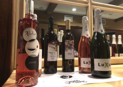 La Corona de Ainsa - Vino vinos wine Ainsa somontano huesca vignerons de huesca