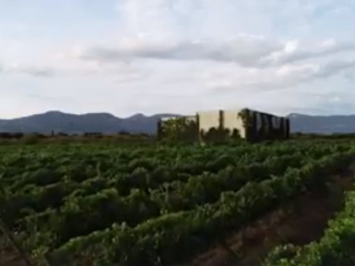 La Corona de Ainsa - Vino vinos wine Ainsa somontano huesca vignerons de huesca