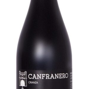 Botella de Canfranero Tinto Crianza de Bodegas Valdovinos