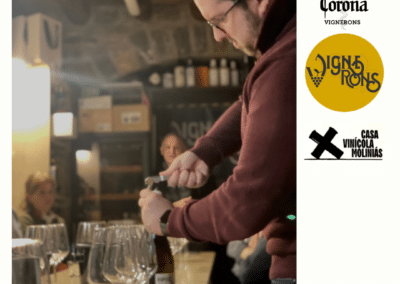La Corona de Ainsa - Vino vinos wine Ainsa somontano huesca