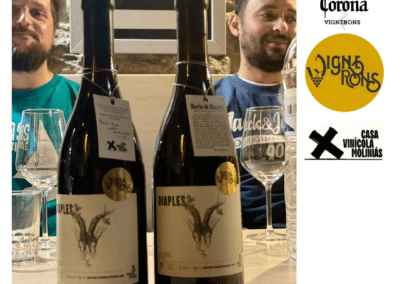 La Corona de Ainsa - Vino vinos wine Ainsa somontano huesca
