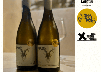 La Corona de Ainsa - Vino vinos wine Ainsa somontano huesca