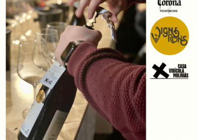 La Corona de Ainsa - Vino vinos wine Ainsa somontano huesca