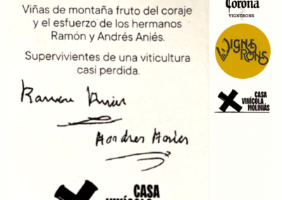 La Corona de Ainsa - Vino vinos wine Ainsa somontano huesca