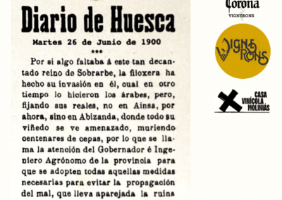 La Corona de Ainsa - Vino vinos wine Ainsa somontano huesca
