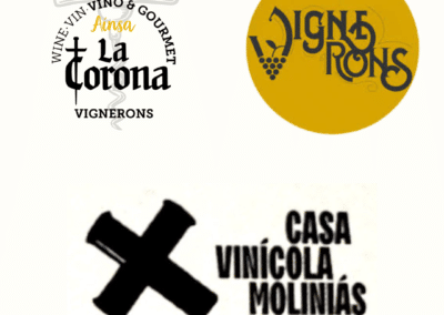 La Corona de Ainsa - Vino vinos wine Ainsa somontano huesca